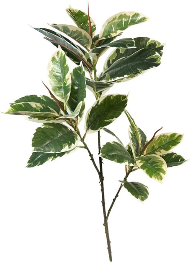 Rubber Plant Ficus - Tanaman Buatan Ficus Tineke 31 