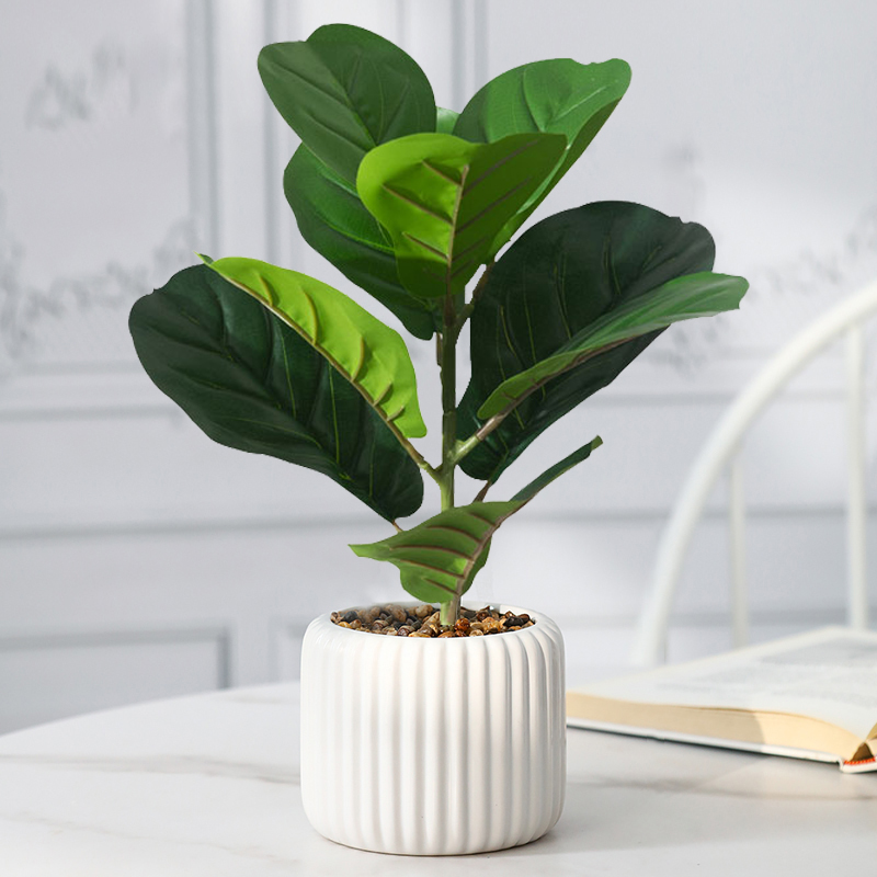Rubber Plant Ficus - Pohon Ficus palsu 38cm daun biola