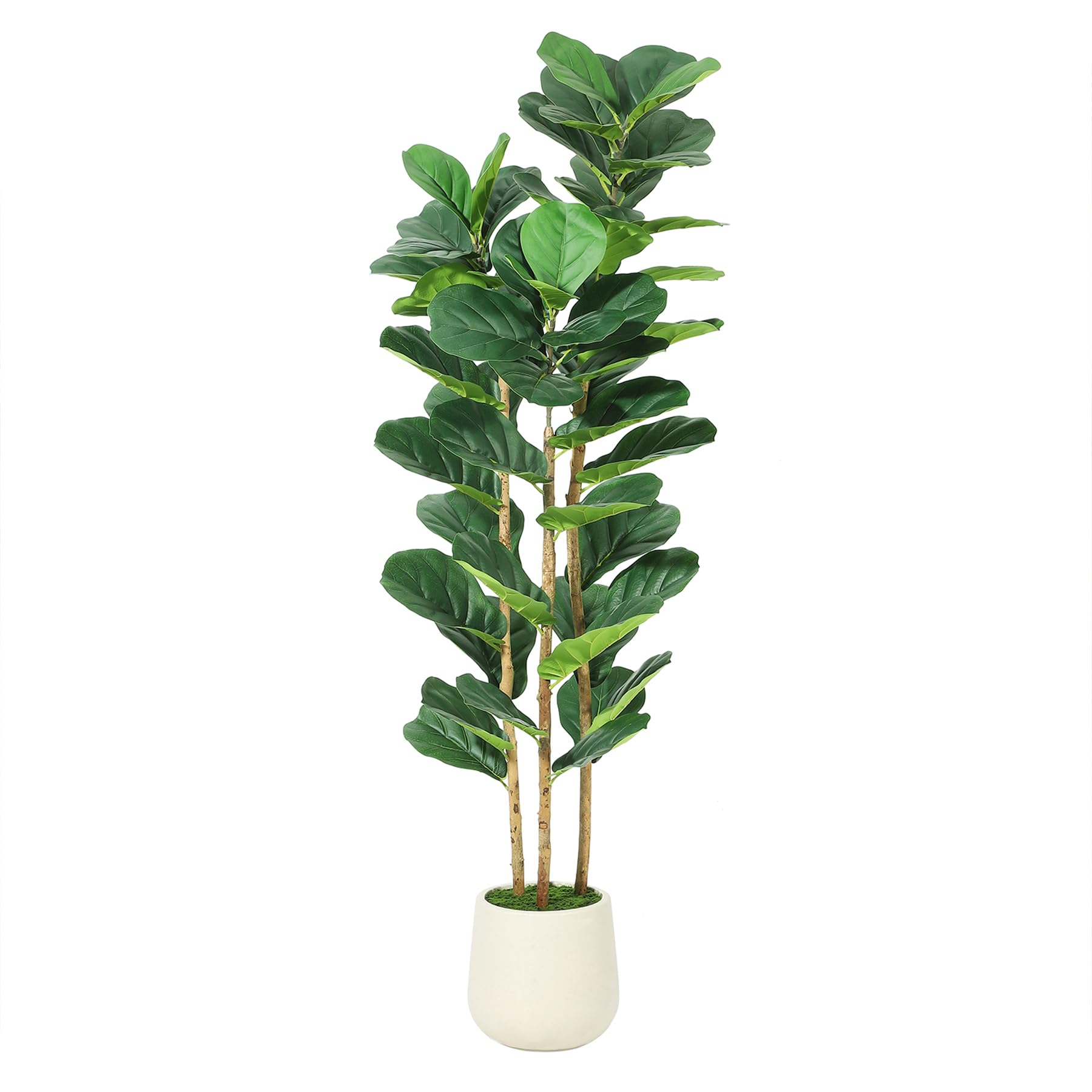Pohon Fiddle Leaf Fig Buatan d - Rubber Plant Ficus ulasan dan harga