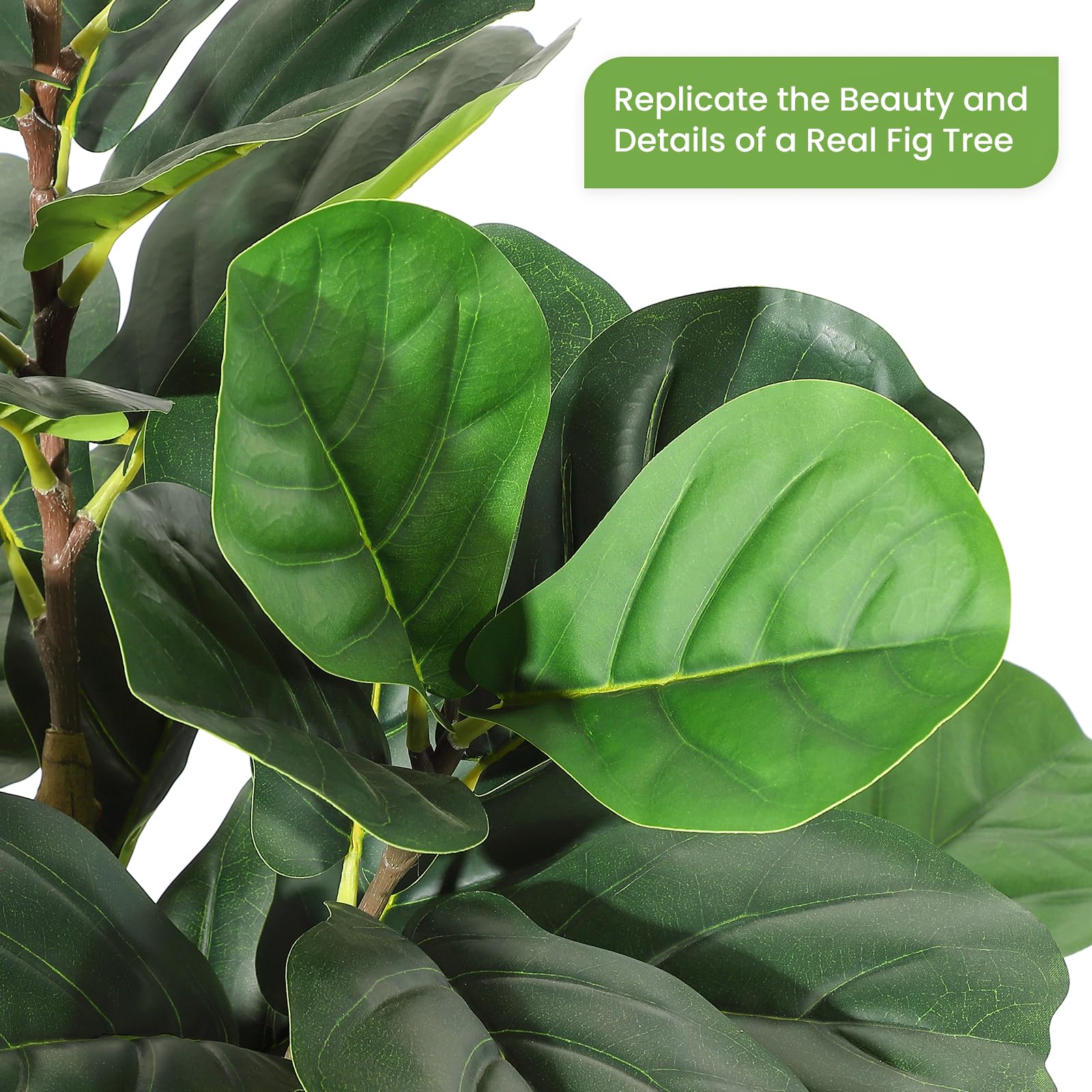Pohon Fiddle Leaf Fig Buatan d - Rubber Plant Ficus ulasan dan harga