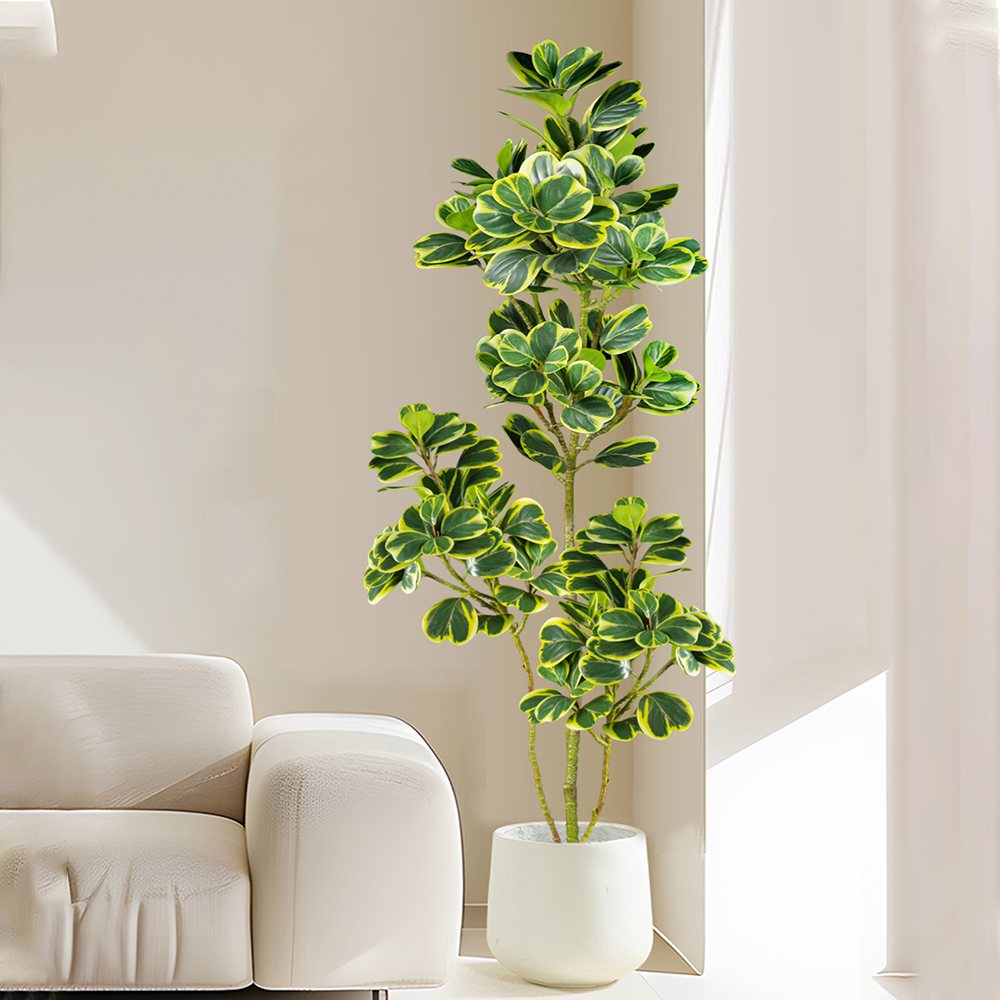 76Cm/115Cm Pohon Ficus Buatan  - Rubber Plant Ficus ulasan dan harga