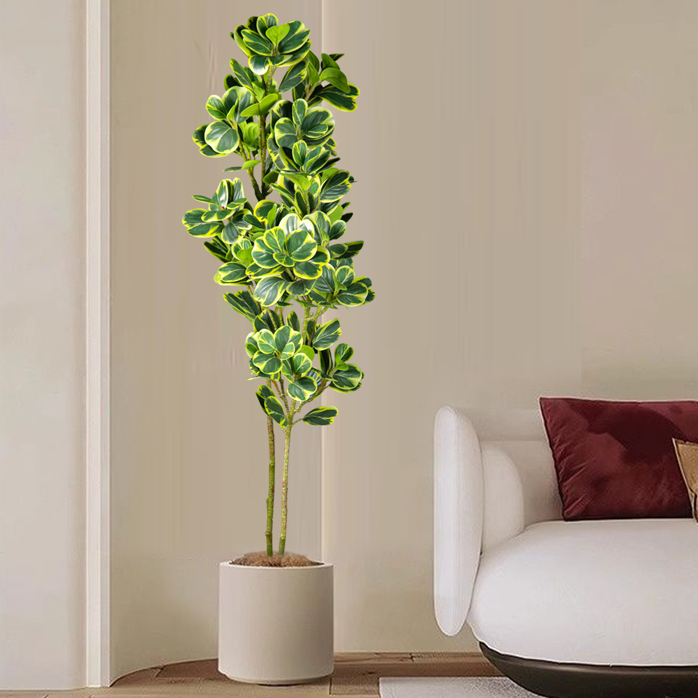 76Cm/115Cm Pohon Ficus Buatan  - Rubber Plant Ficus ulasan dan harga