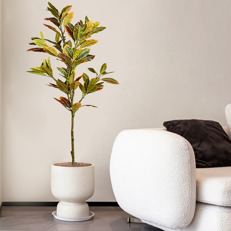 Pohon Ficus palsu besar 120cm  - Rubber Plant Ficus ulasan dan harga
