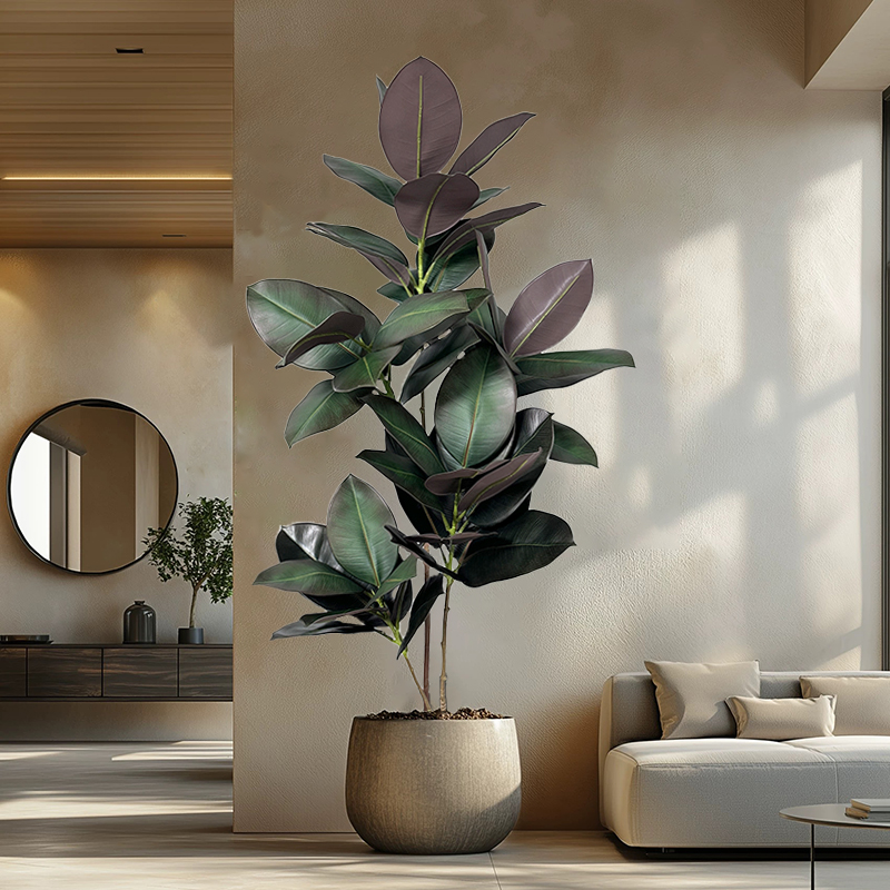 Pohon Ficus Buatan 70-150cm Ta - Rubber Plant Ficus ulasan dan harga