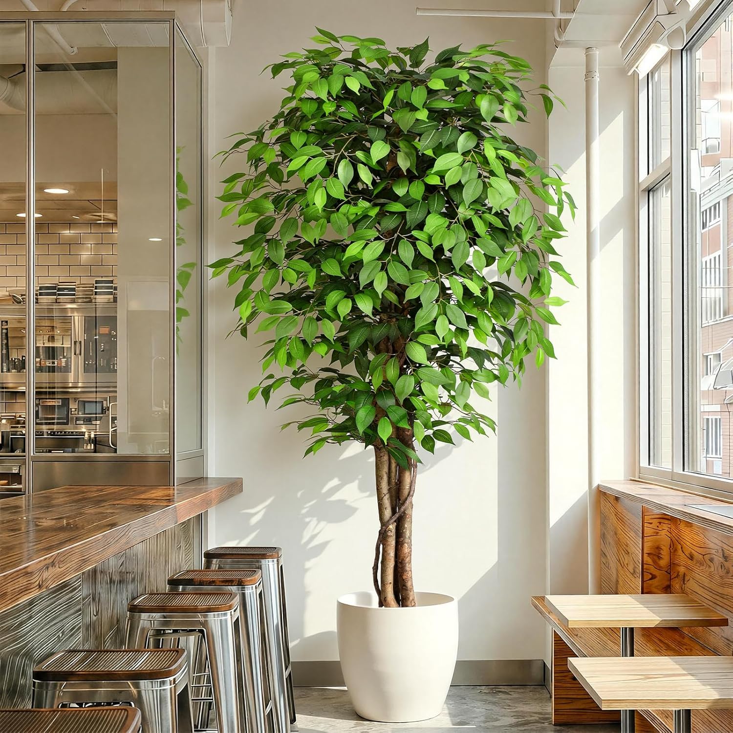 Pohon Ficus Buatan yang Mirip  - Fiddle Leaf Fig ulasan dan harga