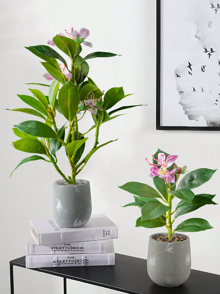 Tanaman azalea buatan 21-40cm  - Rubber Plant Ficus ulasan dan harga