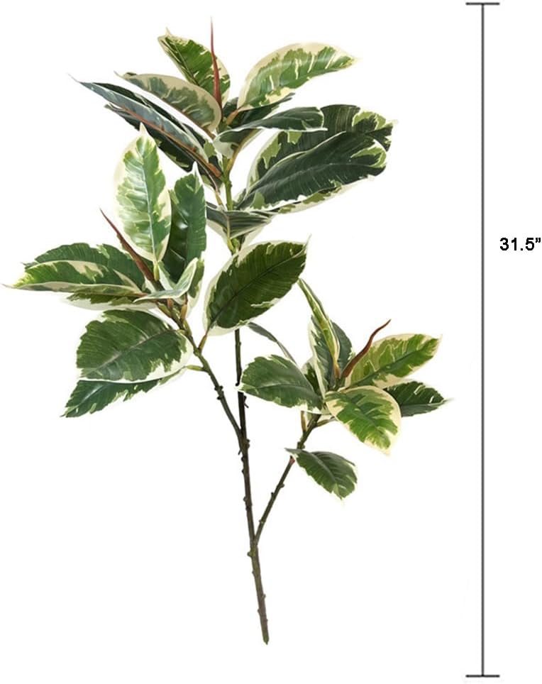 Tanaman Buatan Ficus Tineke 31 - Rubber Plant Ficus ulasan dan harga