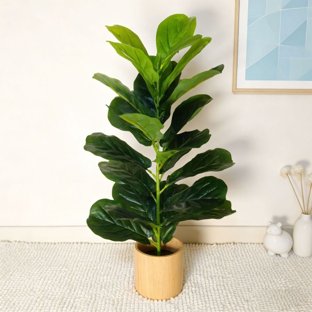 Pohon Ficus Plastik Hijau Ukur - Fiddle Leaf Fig ulasan dan harga
