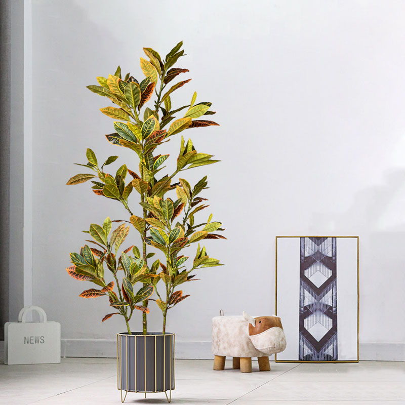 Pohon Ficus palsu besar 120cm  - Rubber Plant Ficus ulasan dan harga