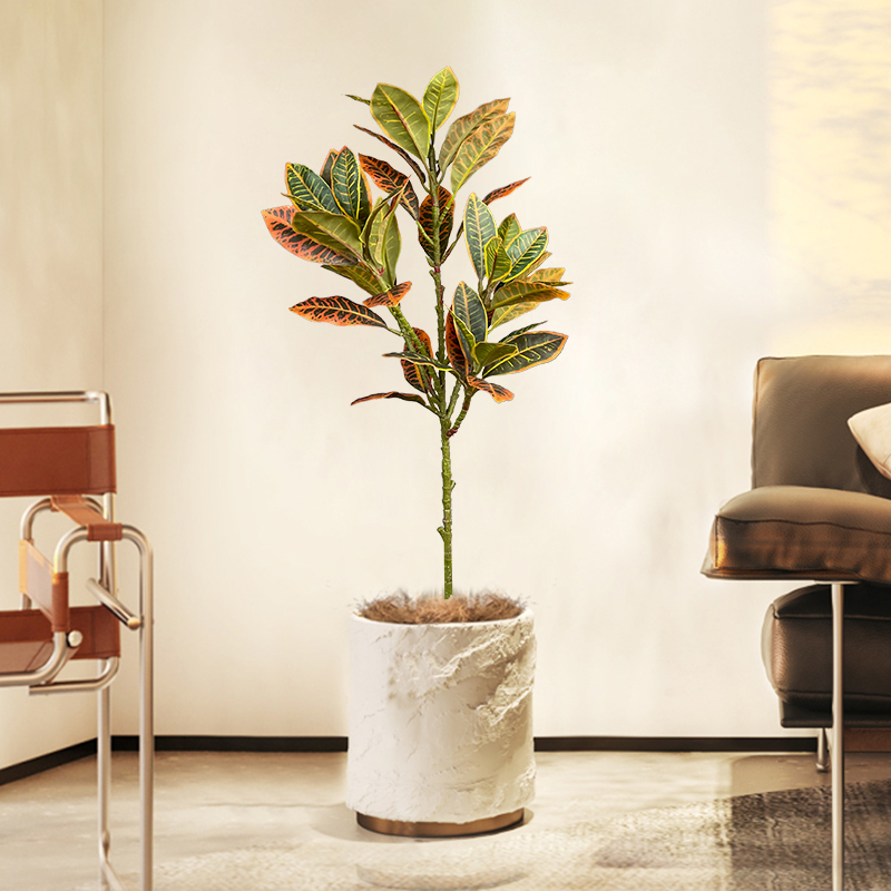 Pohon Ficus palsu besar 120cm  - Rubber Plant Ficus ulasan dan harga