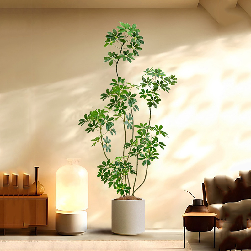 31-74in pohon Ficus buatan bes - Rubber Plant Ficus ulasan dan harga