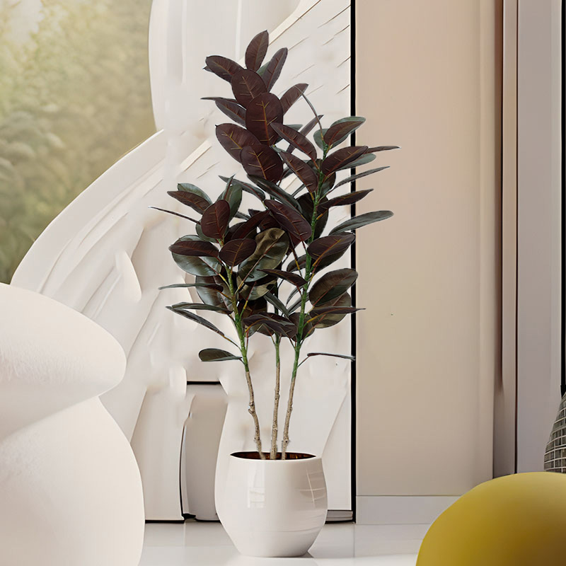 Pohon karet buatan pohon Ficus - Rubber Plant Ficus ulasan dan harga