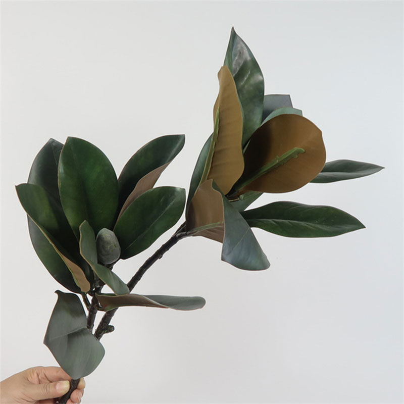 Tanaman artifisial besar 82cm, - Rubber Plant Ficus ulasan dan harga