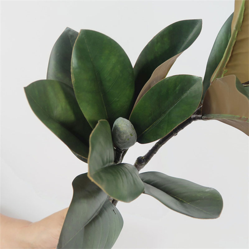 Tanaman artifisial besar 82cm, - Rubber Plant Ficus ulasan dan harga