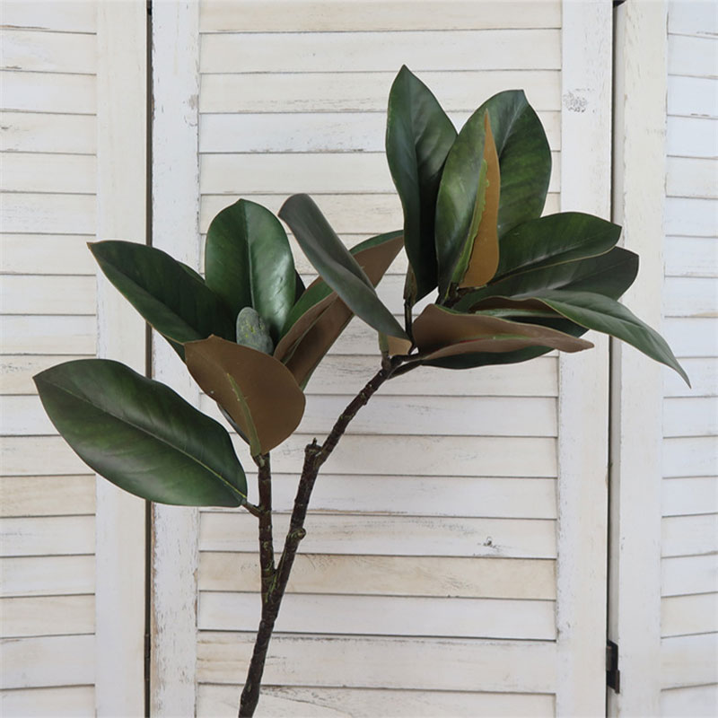 Tanaman artifisial besar 82cm, - Rubber Plant Ficus ulasan dan harga