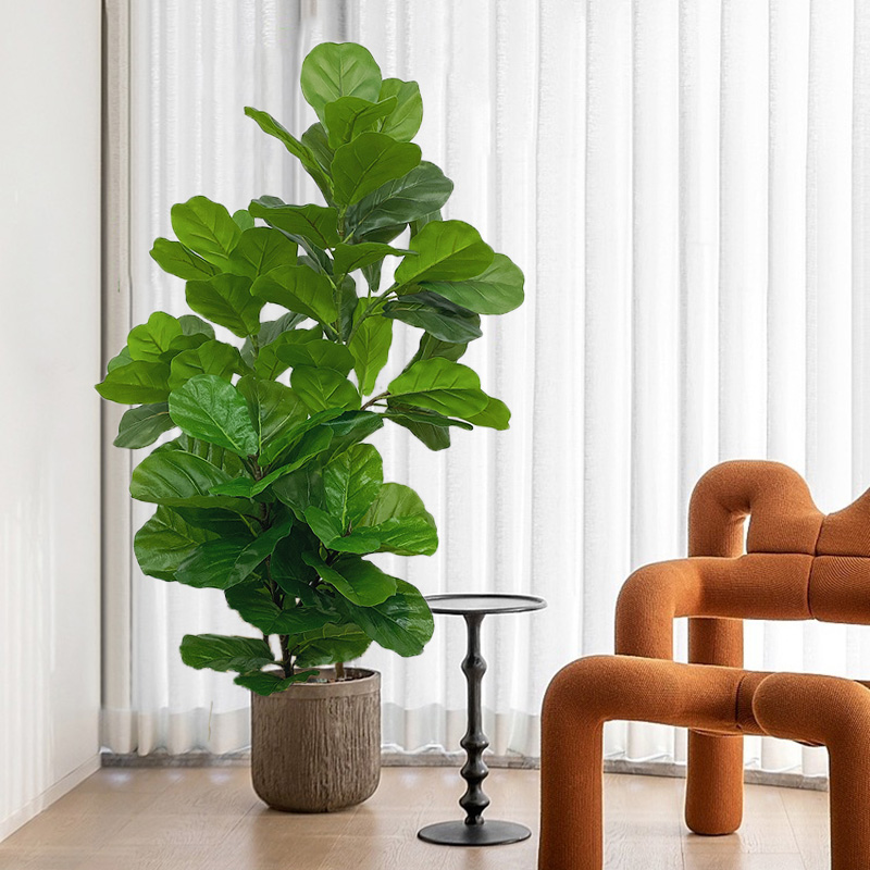 23-41 pohon Ficus buatan tanam - Fiddle Leaf Fig ulasan dan harga