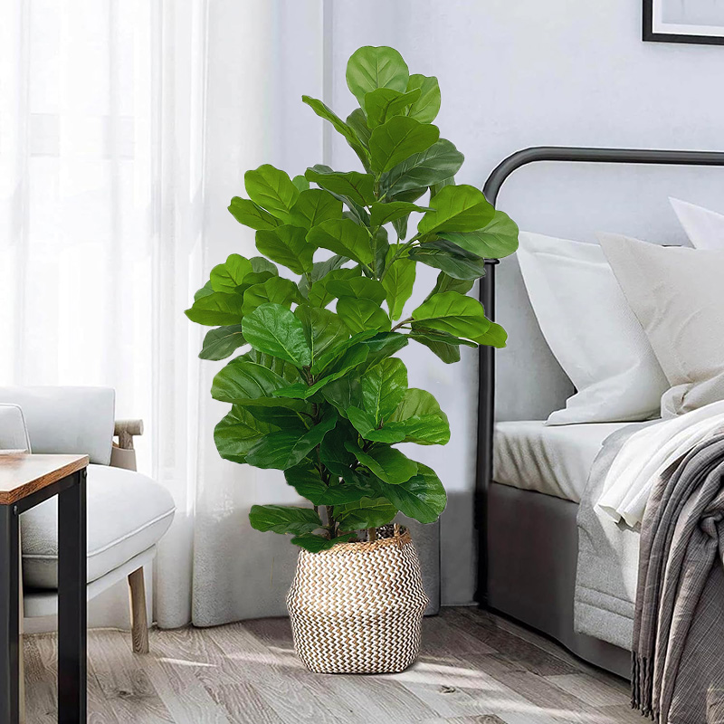 23-41 pohon Ficus buatan tanam - Fiddle Leaf Fig ulasan dan harga