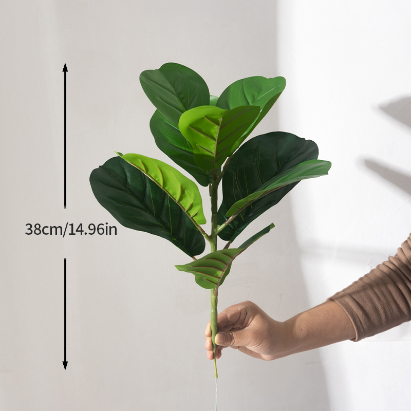Pohon Ficus palsu 38cm daun bi - Rubber Plant Ficus ulasan dan harga